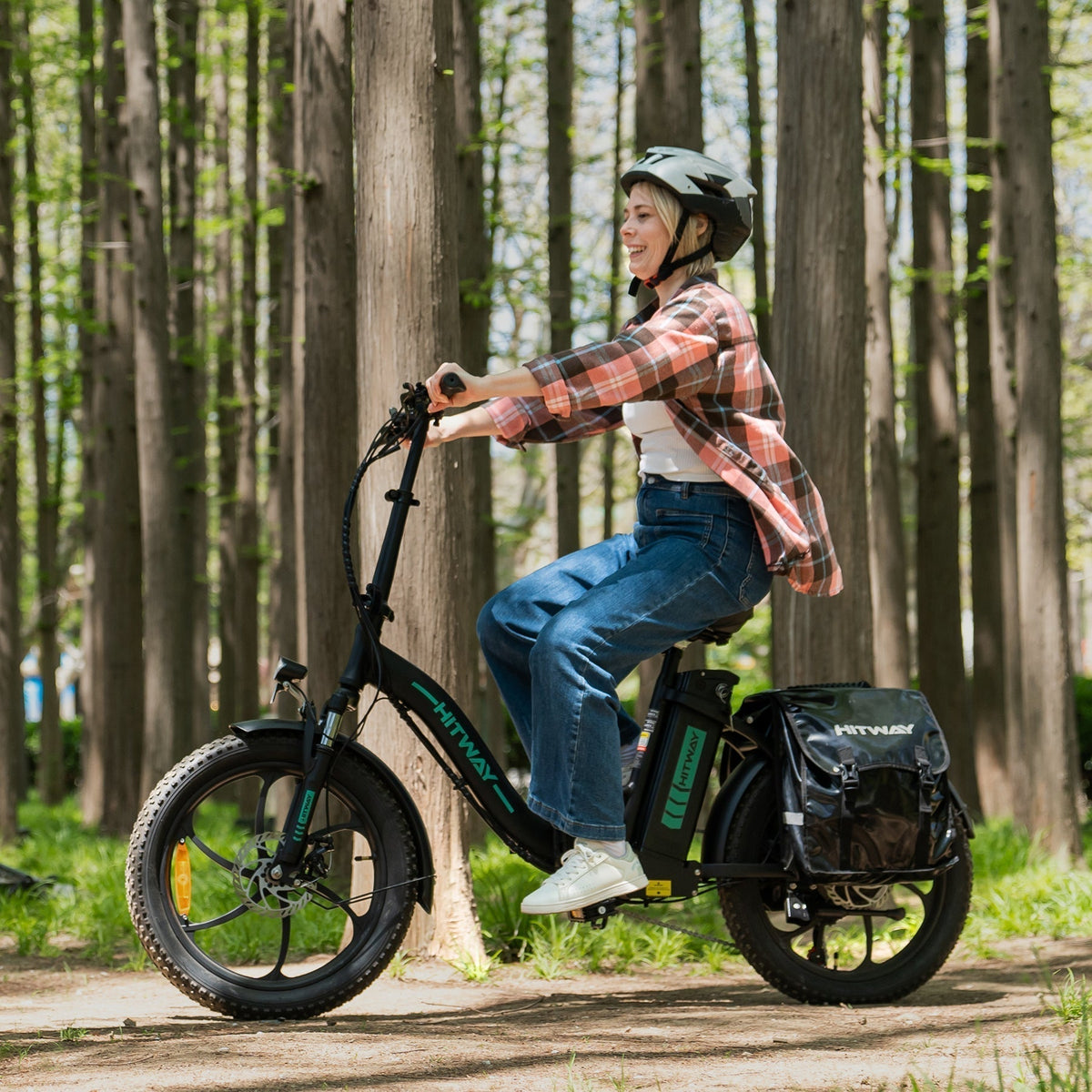 BK6S Folding Electric Bike