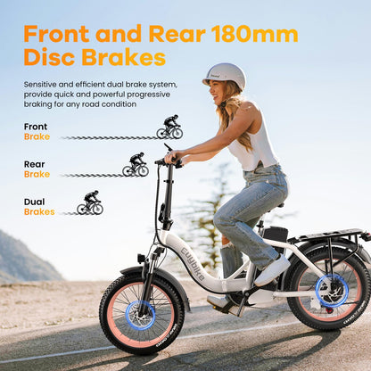 Folding Electric Bike for Adults with 1000W Peak Motor, 48V 20AH Battery up to 80 Miles, 20" Fat Tire All Terrain Ebike