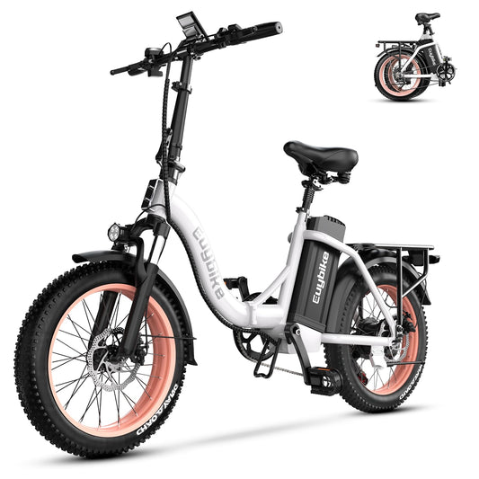 Folding Electric Bike for Adults with 1000W Peak Motor, 48V 20AH Battery up to 80 Miles, 20" Fat Tire All Terrain Ebike