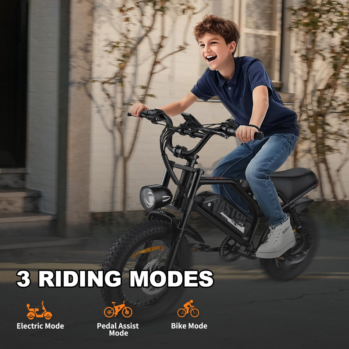 Electric Bike for Adults, A13 1000W Peak 16'' E-Bike, 20MPH Speed &45 Miles