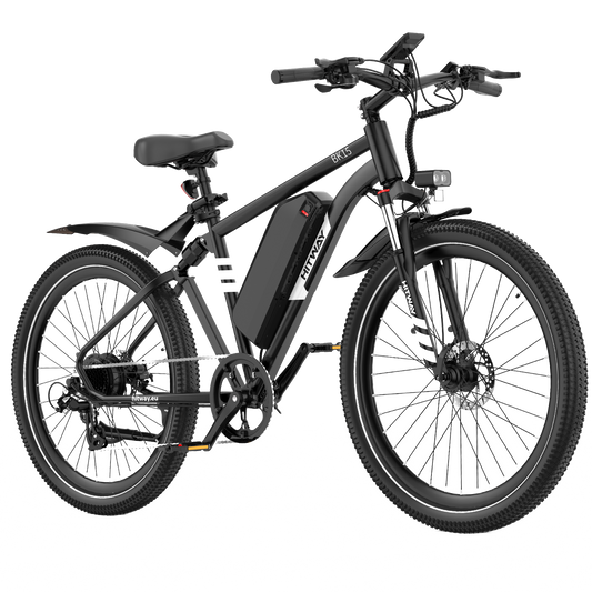 BK15PL 29 inch Electric Bike