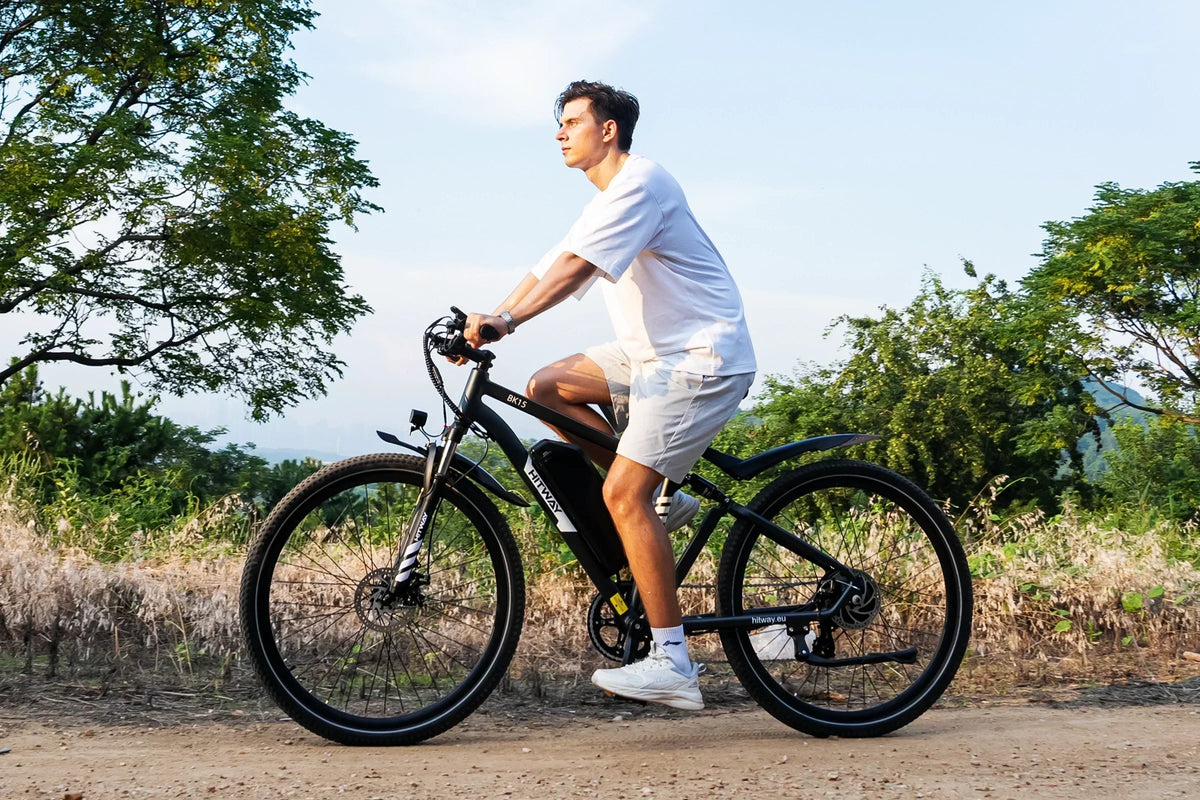 BK15PL 29 inch Electric Bike