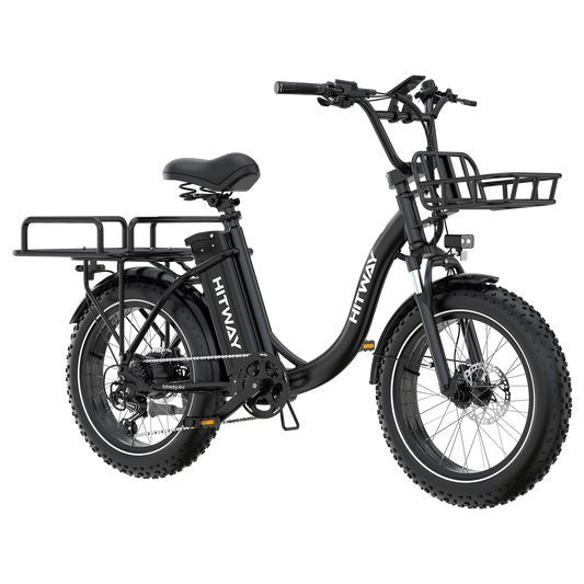 BK6S Plus Cargo Electric Bike