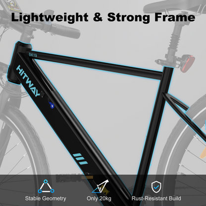 BK19 Road Electric Bike
