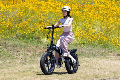 BK10S Folding Electric Bike